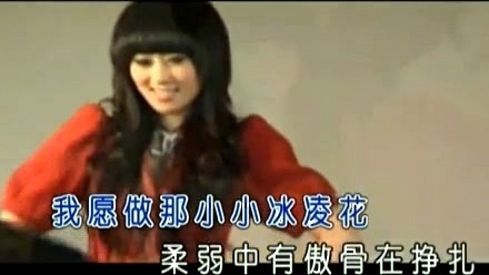 王冰洋 - 冰凌花 (KTV版)