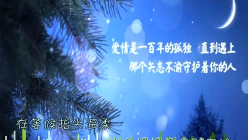 范朋飞 - 后懂 (歌词版)