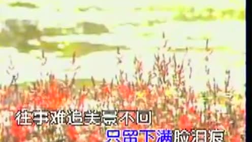 林玉英 - 痴情泪 (KTV版)