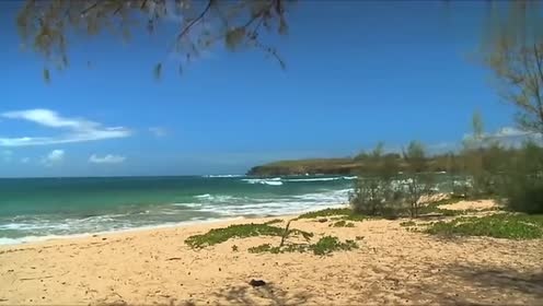 Chris Spheeris - Eros