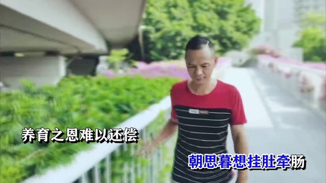 唐跃进 - 流着眼泪想爹娘 (KTV版)