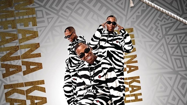 Mfana Kah Gogo - Wanna Party (Official Audio)