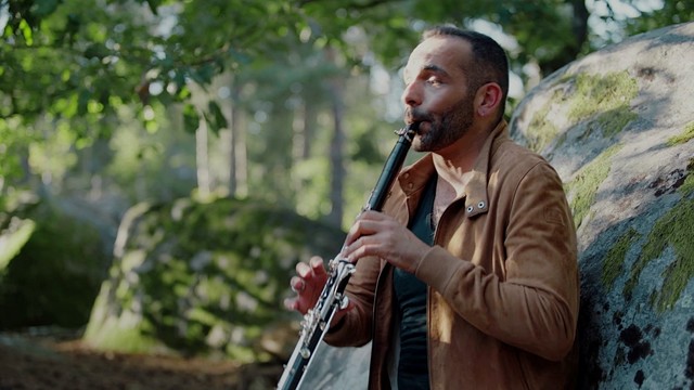 Pierre Genisson - Mozart: Clarinet Concerto in A Major, K. 622: II. Adagio