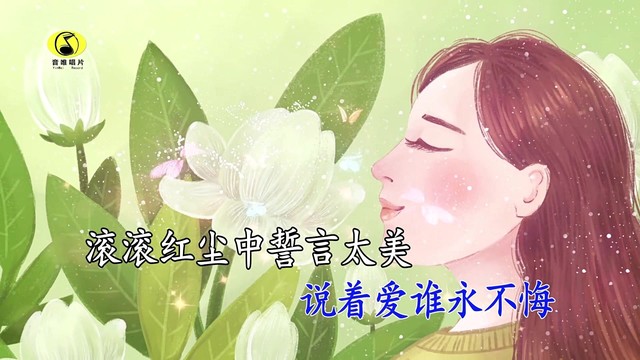 流星雨 - 蝴蝶飞飞 (KTV版)