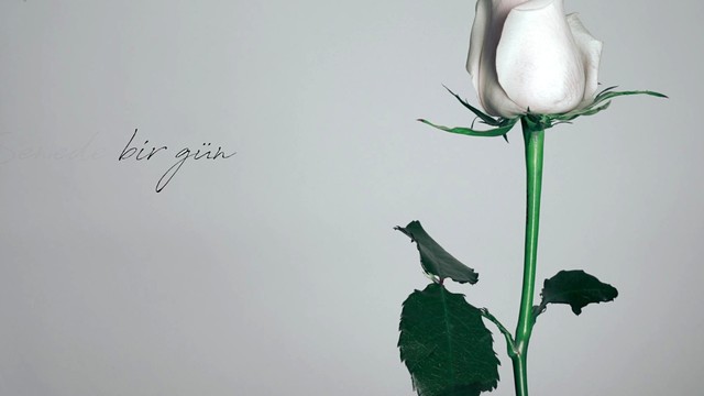 Cem Adrian - Cem Adrian - Senede Bir Gün (歌词版)