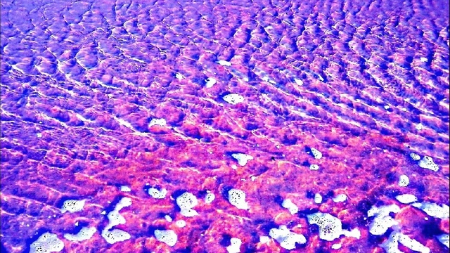 Lawrence Taylor - Storm Is A Comin' (Halloween Song)