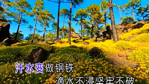 林一峰 - 简单不简单 (KTV版)