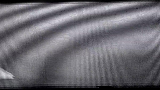 D.A.N. - Native Dancer