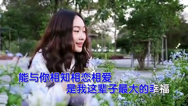 幸福的小鱼儿 - 期待牵手的那一天 (KTV版)