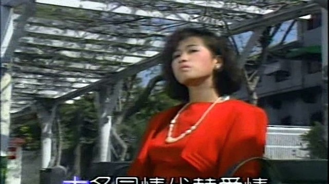 史俊鹏 - 我不小心翻开我的心 (KTV版)