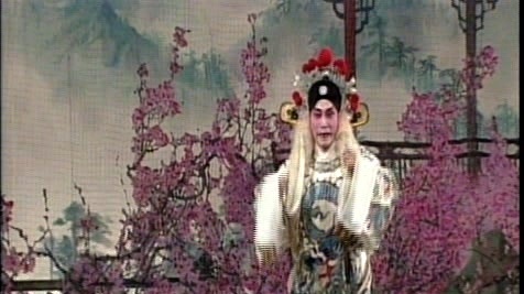 罗家宝 - 狄青闯三关 (KTV版)