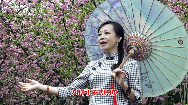 胡梅 - 叫我如何不想你