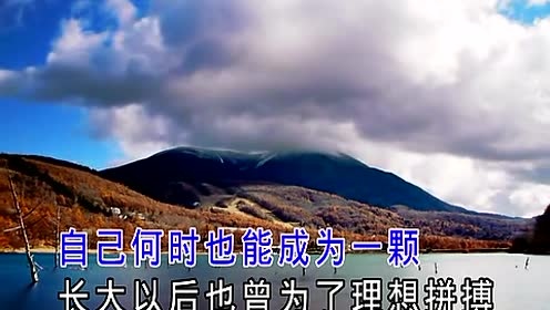 董伟 - 星星 (KTV版)