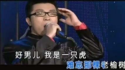 汤潮 - 好男儿 (KTV版)