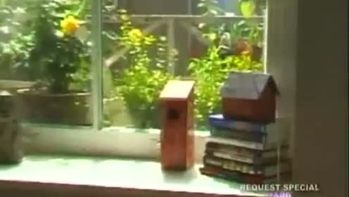 ZARD - 君に逢いたくなったら