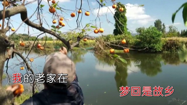 高紅 - 我的老家在柿子树旁 (KTV版)