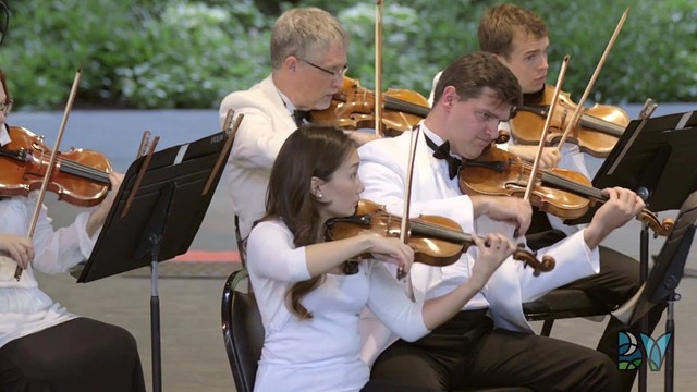 Pinchas Zukerman - Beethoven's Concerto in D major (Live)