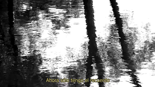 José Madero - No Como El Filme (Lyric Video)