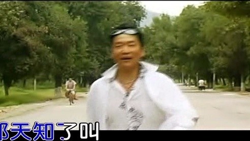 赵燕国彰 - 金蝉脱壳