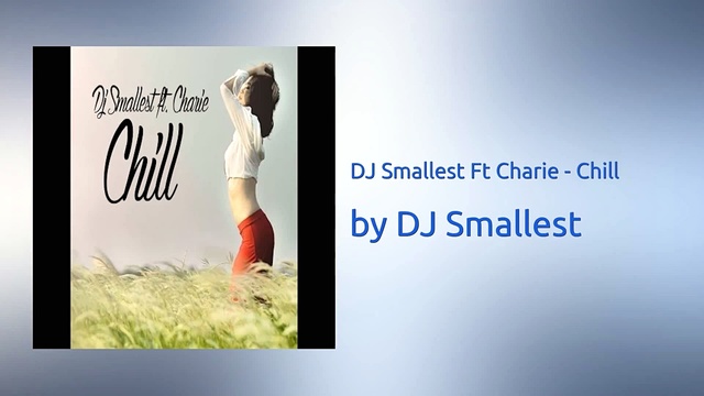DJ Smallest - Chill (音频版)