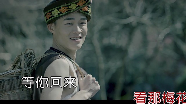 张芝明 - 故人梅