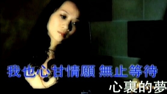 陈国宁 - 你的影子 (KTV版)