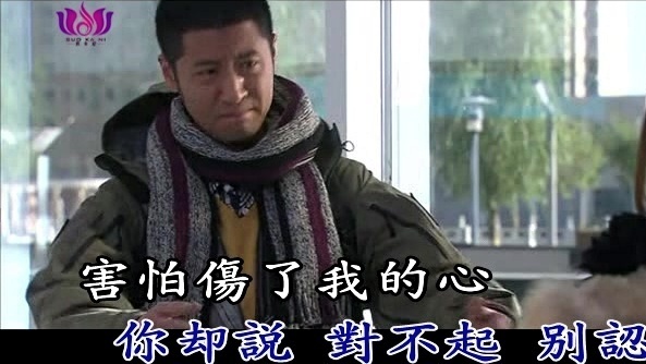 九天 - 依恋你的唇 (KTV版)