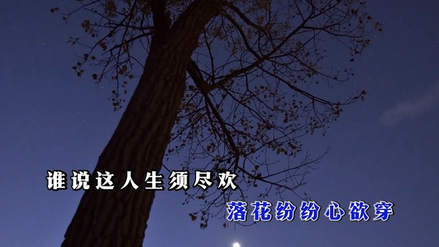 劳忠明 - 醉花间 (KTV版)