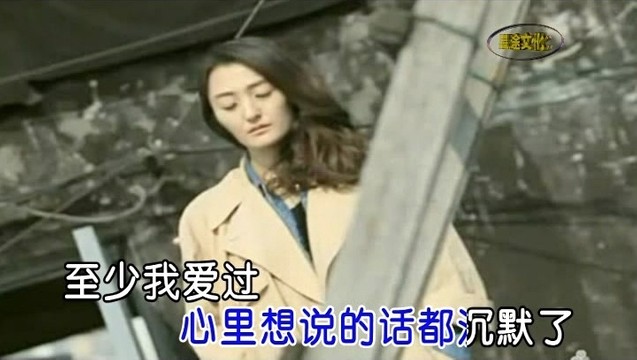 天心 - 至少我爱过 (KTV版)
