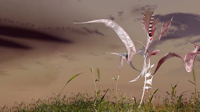 Sophie Meiers - better for you (音频版)