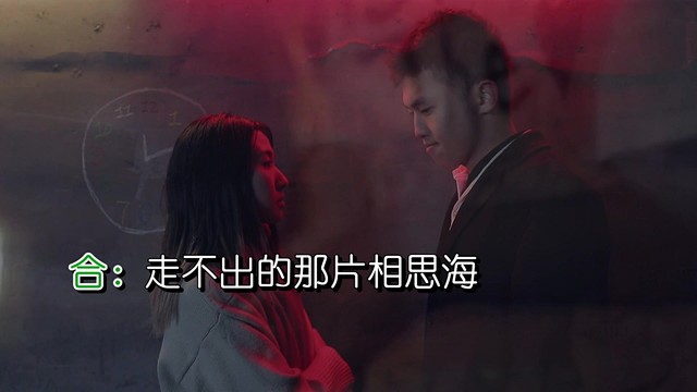 海丽 - 走不出那片相思海 (对唱版)