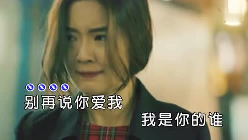 张师羽 - 听不完的情歌流不完的泪 (KTV版)