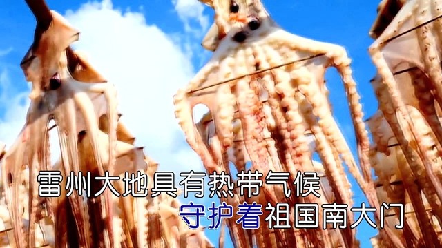 骆运 - 雷州半岛 (KTV版)