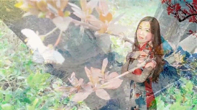 付玉梅 - 孤梅伴泪花 (KTV版)