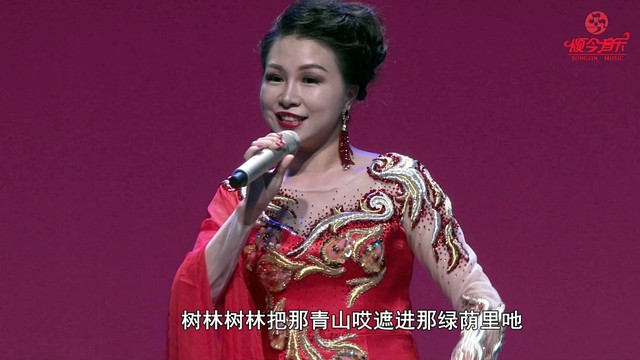 陈雅萍 - 爱在心窝里 (Live)