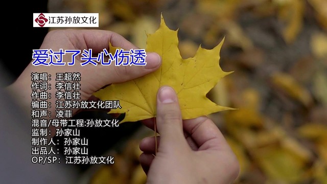 王超然 - 爱过了头心伤透 (深情版)