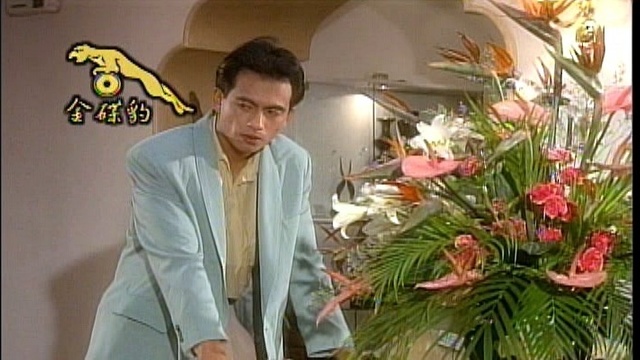 蔡可荔 - 星星知我心