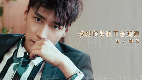王博文 - 我想你永远不会知道