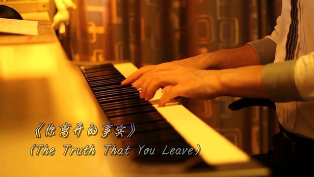 赵海洋 - 你离开的事实