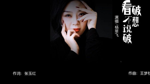 杨菲飞 - 看破不想说破 (KTV版)