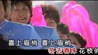 婉言 - 喜上眉梢 (KTV版)