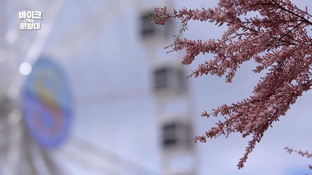 YELLOW BENCH - You Are So Beautiful (预告版)