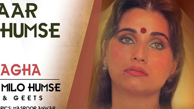 Salma Agha - Ek Baar Milo Humse (音频版)