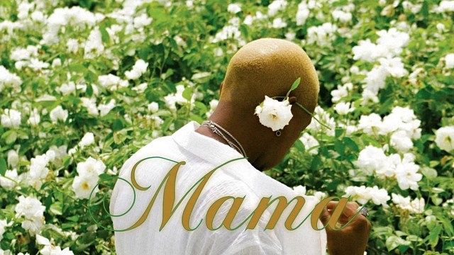 Pcee - Thula Mabota (Official Audio)