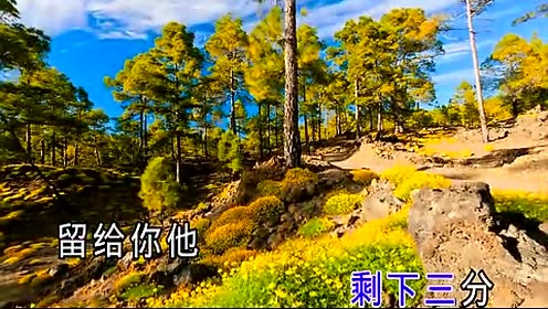 孙健 - 我有一弯明月 (KTV版)