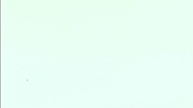 Black Futures - Me.TV