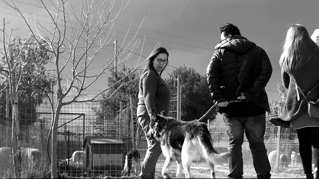 DJ Dimi - I Never Let You Go