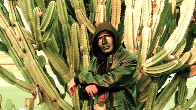 Big Sir Loon - No New Friends