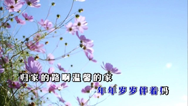 罗时清 - 妈妈 (KTV版)