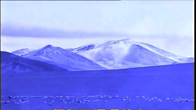 德乾旺姆 - 献给阿玛的歌 (KTV版)